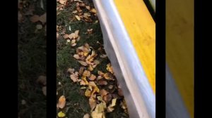 Антисептик для древесины ХМ-11. ГОСТ 23787.8-80. Своими руками.