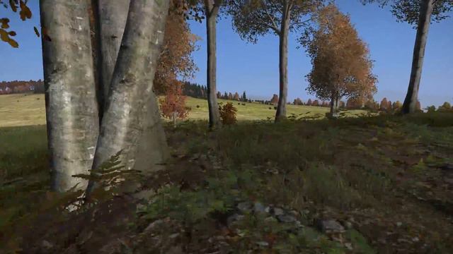 DayZ Standalone - SVD Dragunov Kills (0.57 Stable/Hardcore/60fps) смотреть онлайн