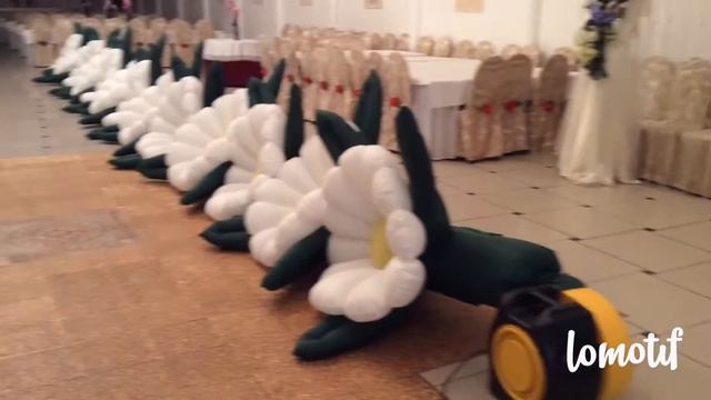 Такого вы ещё не видели .Для свадеб появились цветы с эффектом раскрытия .В городе Единец 069208601 смотреть онлайн