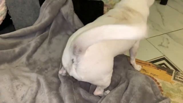 Всем спокойной ночи и самых сладких снов. смотреть онлайн