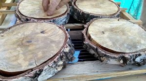 СУШИМ БЕРЕЗОВЫЕ СПИЛЫ БЕЗ РАСТРЕСКИВАНИЯ.