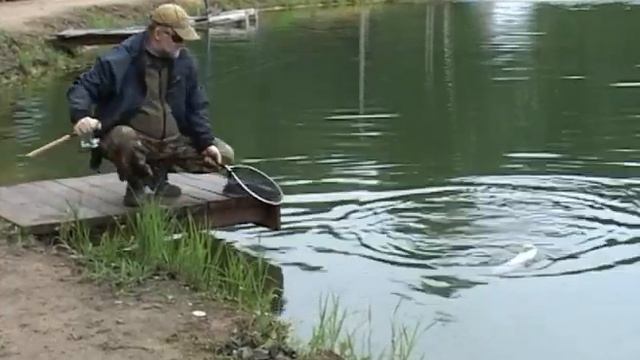 видео ловля судака, про рыбалку, судак, рыбалка на судака, ужение судака, Воблер Калипсо, Calypso F смотреть онлайн
