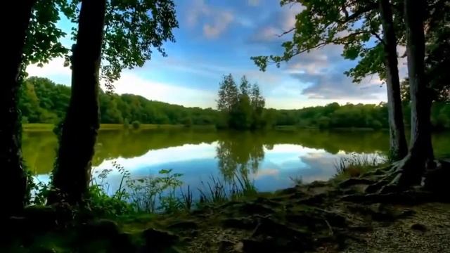 ДНП «Лесная сказка» смотреть онлайн