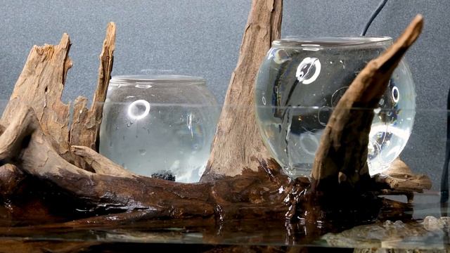 Bog Orb Riparian Planters Aquascape (DIY Upflow Filtration Aquarium) смотреть онлайн