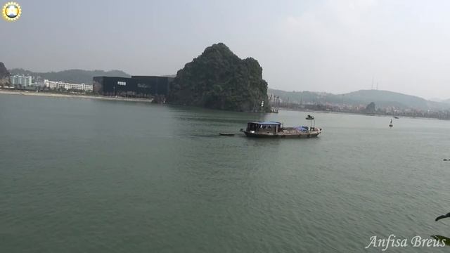 freelancelifestyle ru Vietnam 111 2 Bai To Long смотреть онлайн