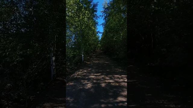 🌺 Одна из дорог на хребте Буландиха в Саткинском районе Челябинской области 🌿 #цветок_на_вершине смотреть онлайн