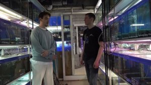 Разводня аквариумных рыб на Птичьем рынке в Москве