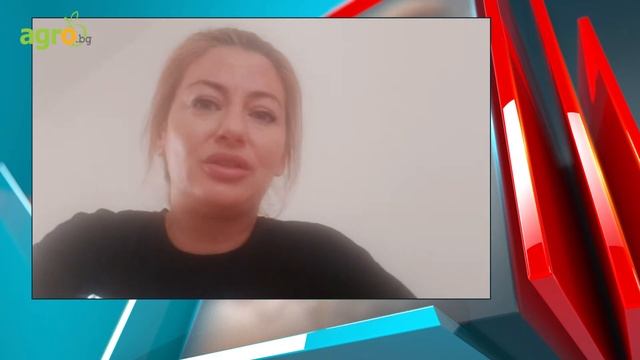 Био плюс кейл – уникално здравословна комбинация смотреть онлайн