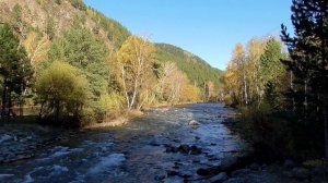 Исцеление от стеноза митрального клапана. Возрождение  строения сердечно-сосудистой системы Сытин Г