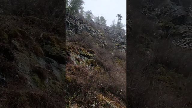 ОСЕНЬ НА АЛТАЕ | AUTUMN IN ALTAY смотреть онлайн