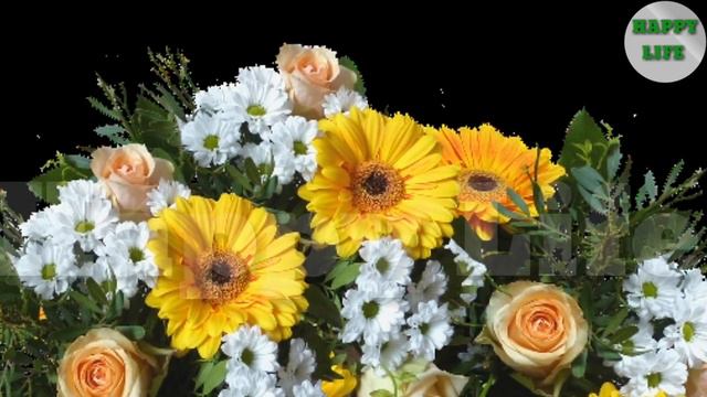 Farming Of Gerbera Flower смотреть онлайн