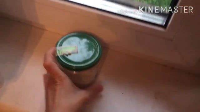 Первый переезд???как не заморозить улиток??