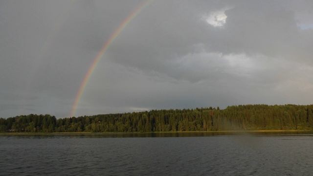 110815 ПОЛАЗНА смотреть онлайн