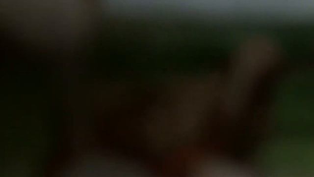 Я сама делаю арбузный смузи! Попробуйте сделать - не пожалеете! Это - очень вкусно! смотреть онлайн