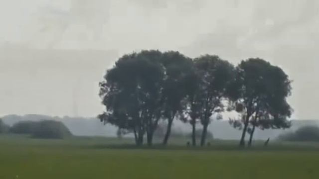 [KZ] Əн- там Где лес и река смотреть онлайн