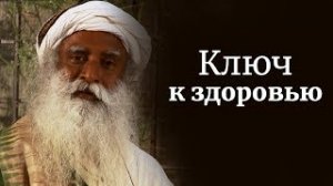 Ключ к здоровью — относиться к воде с почтением