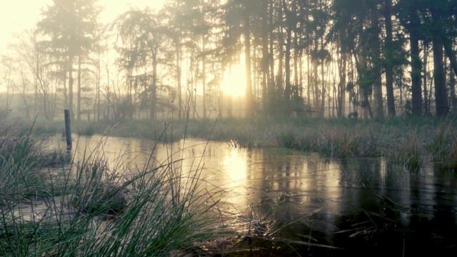 СТИХИ О ЛЮБВИ читает душевный ДУЭТ мужчина и женщина. Лирика, поэзия, о жизни и любви смотреть онлайн