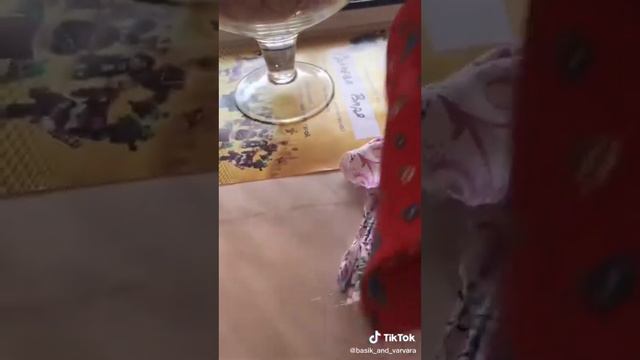 обзоры на дома Басиков из тик тока #басики смотреть онлайн