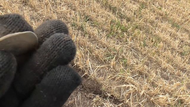 Село на старом тракте. Какие тайны оно еще скрывает... смотреть онлайн