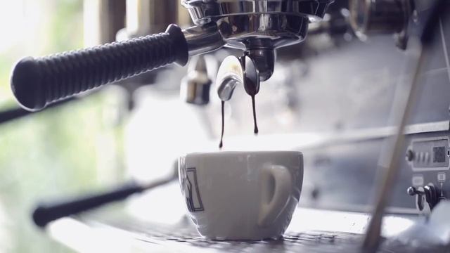 Fennec Coffee Commitment, Attention, Quality | فنك كافيه التزام, اهتمام, جودة смотреть онлайн