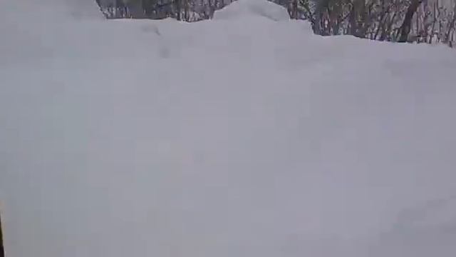 дорога из Тореза в Лисичанск 17.02.12.mp4 смотреть онлайн