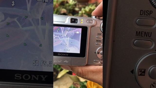 Sony DSC-w35 смотреть онлайн