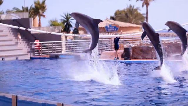 Испания. Наши друзья на Майорке. смотреть онлайн