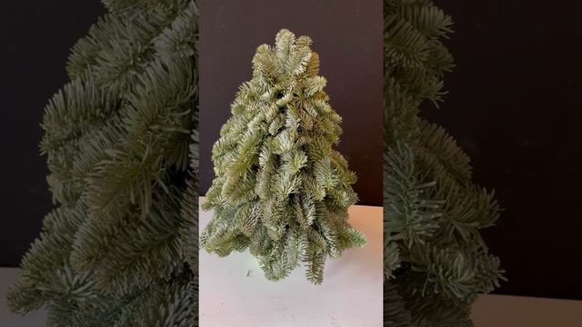 Елка из нобилиса смотреть онлайн