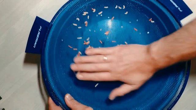 Топлёный Опарыш за 15 секунд! рыбалка