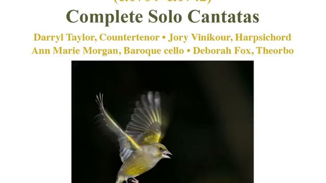 12 Cantatas, No. 7 "Arde quest'alma": Aria: Arde quest'alma смотреть онлайн