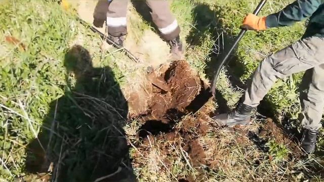 Как найти место сброса железа? Металлокоп/ Металлопоиск с пользой!!! MD6250+MD4030.