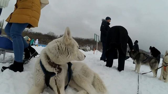 Охота и Рыбалка Воронеж фестиваль смотреть онлайн