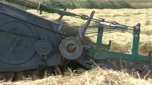 2015 - Уборку риса в «Правобережном» планируют завершить в первые дни октября смотреть онлайн