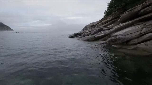 Видеоурок «Большое экологическое путешествие в мир китов» (9 февраля - Всемирный день китов) смотреть онлайн