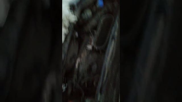 Форд транзит 2018 #2