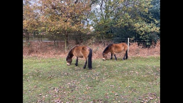 Ra Ma Da Sa Mantra with piano смотреть онлайн