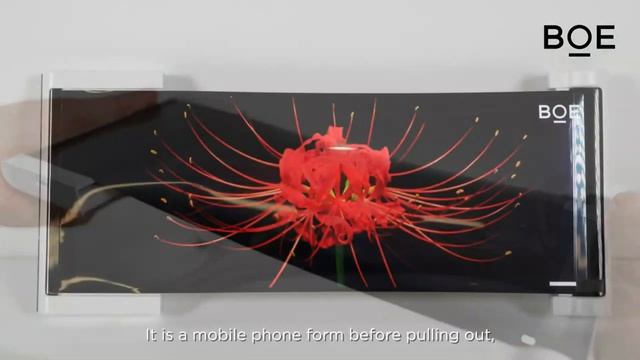 BOE 12.3" rollable OLED demo at SID DW 2020 смотреть онлайн
