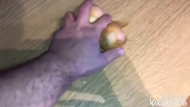 Кебаб из Креветок 1ч. смотреть онлайн