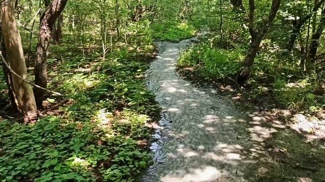 Источник вечной молодости (пол года спустя) смотреть онлайн