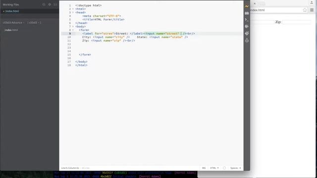 #angularjs #web #striversity 03.14 - #21 - HTML - Form Input Types смотреть онлайн