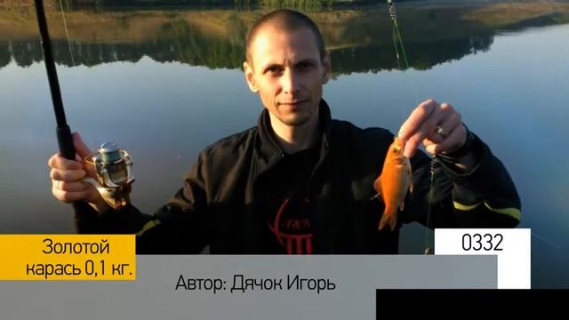 Фотоальбом - Рыбалка №66 смотреть онлайн
