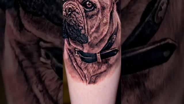 Территория Тату