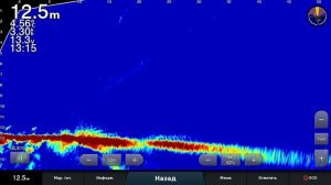 Паноптикс на ходу  Garmin LiveScope