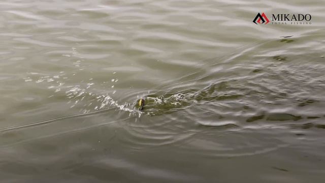 Popper Mikado Hanta - Zwycięski Wobler Na Zawodach Garmin Fishing Series