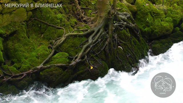 Меркурий в Близнецах/Ведическая Астрология/Человек способный к литературе, к искусствам и наукам. смотреть онлайн