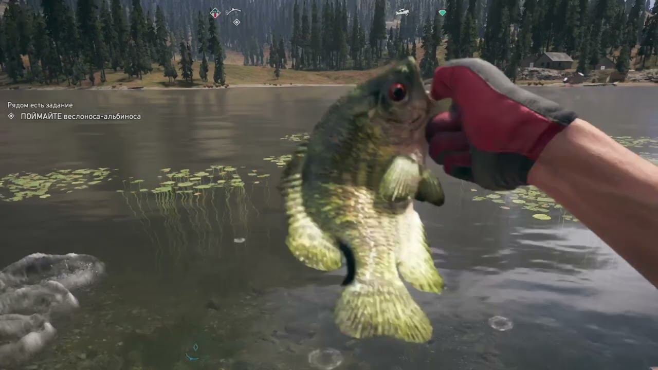 Far Cry 5 - 131 часть Доп. задание Рагнар ужасный смотреть онлайн