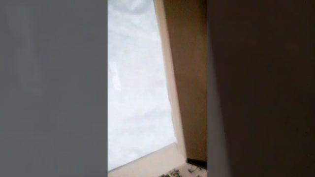 У меня ноутбук смотреть онлайн