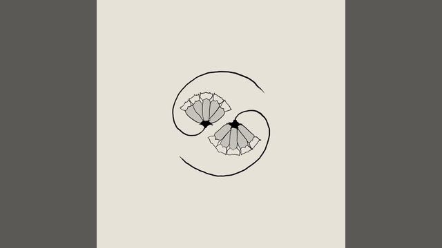 “GOVERNMENT CAME” (9980.0kHz 3617.1kHz 4521.0 kHz) смотреть онлайн