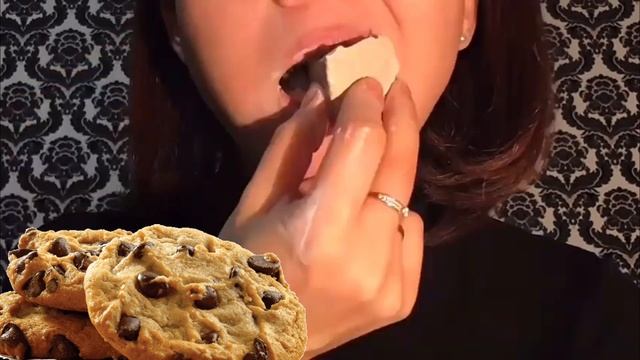 Wet Crunch Competition Shelk Melk & Ankosouth