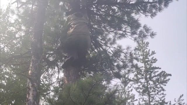 Лайфхак. Как ДОСТАТЬ ШИШКУ, или ПОЛУЧИТЬ по ней... смотреть онлайн